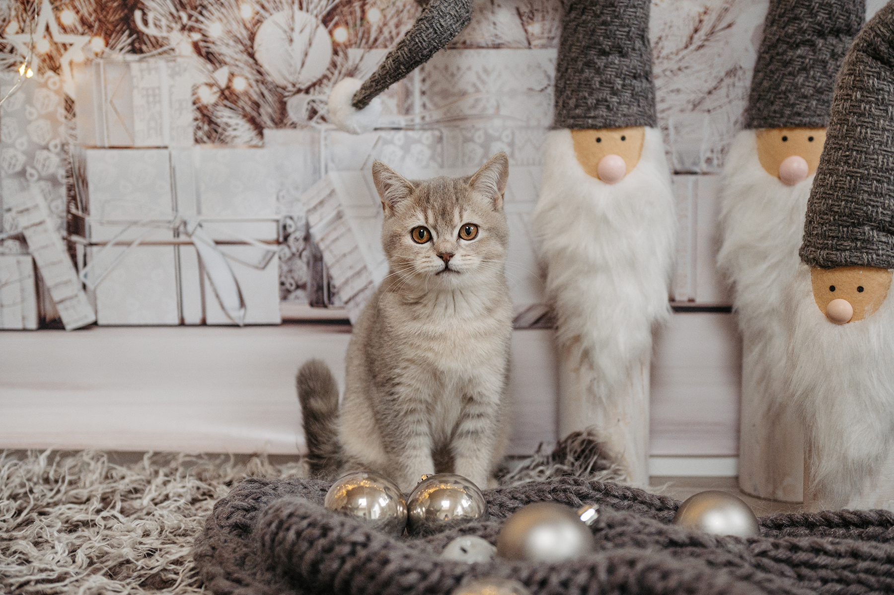 Glitzer für Tiere